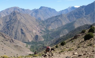The Atlas Mountains view with a brown horse at the centre followed by a local guide Village of Imlil