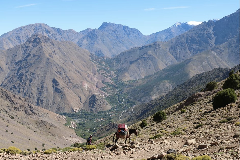 The Atlas Mountains view with a brown horse at the centre followed by a local guide Village of Imlil